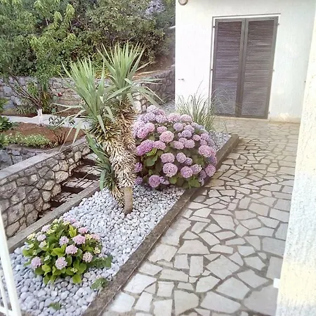 Suzana * Novi Vinodolski